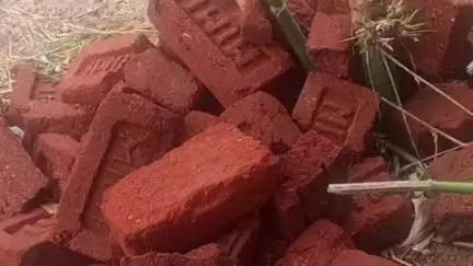 जामा: जामा प्रखंड क्षेत्र में मनरेगा के तहत बिरसा हरित सिंचाई कूप निर्माण योजना में अनियमितता का मामला