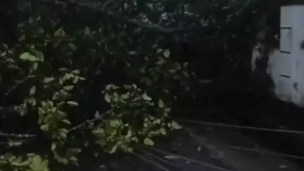 കരുനാഗപ്പള്ളി: മണപ്പള്ളിയിൽ വാഹനത്തിന് മുന്നിൽ ഇലക്ട്രിക് പോസ്റ്റ് ഒടിഞ്ഞുവീണു, സി.ആർ മഹേഷ് എം.എൽ.എ അത്ഭുതകരമായി രക്ഷപ്പെട്ടു