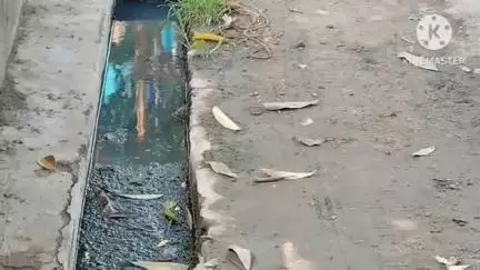 সোনারপুর: এলাকার নিকাশী নালা সংস্কার সংক্রান্ত বিষয় নিয়ে সোনারপুর রাজপুর পৌরসভার 9 নম্বর ওয়ার্ডের কাউন্সিলর কি জানালেন শুনুন