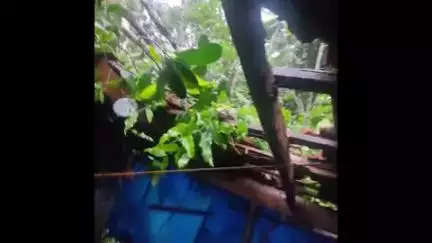 വെള്ളരിക്കുണ്ട്: കനത്ത കാറ്റിലും മഴയിലും മൗക്കോട് മരം വീണ് വീട് തകർന്നു