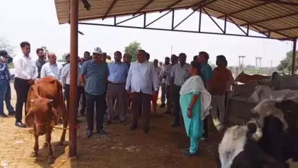 खैर: विकासखंड टप्पल में प्रबंध निदेशक उत्तर प्रदेश जल निगम द्वारा गौआश्रय स्थलीय का किया गया निरीक्षण