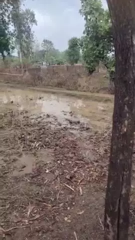 सोनभद्र के बभनी ब्लाक में हुई जबरदस्त बारिश #सोनभद्र #बभनी #ब्लाक