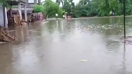 ডোমকল: বর্তনাবাদ এলাকায় সামান্য বৃষ্টিতেই রাস্তায় জল জমে চরম সমস্যায় এলাকাবাসী #jansamasya