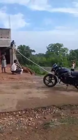 jamdaha mai 
jogiya ban