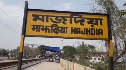 কৃষ্ণগঞ্জ: মাজদিয়ার আম উত্তরপ্রদেশ, রাজস্থান, বিহার দিল্লী সহ পাড়ি দেয় বিদেশেও দাবী আম চাষীদের