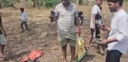 नांगल चौधरी: नांगल चौधरी में तेज तूफान से मारे गए कबूतरों का समाजसेवी युवाओं ने किया अंतिम संस्कार