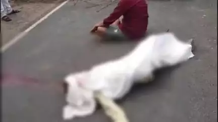 दमयंती नगर: दमोह-छतरपुर मार्ग पर मारा के पास ट्रक ने बाइक सवार को टक्कर मारी, युवक की मौके पर ही मौत