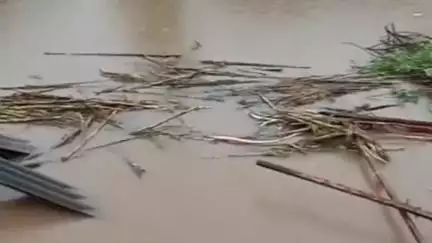 फलटण: फलटण तालुक्यातील जिंती गावात शेड कोसळून गायीचा दुर्दैवी मृत्यू, नाले, नदी ओसंडून वाहत आहेत