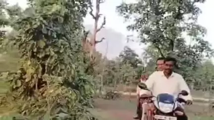 आरमोरी: अवकाळी पावसाने  धान व ईतर पिकाचे नुकसान झालेल्या शेतकऱ्यांच्या शेतीचे  तातडीने पंचनामे करा: आमदार रामदास मसराम