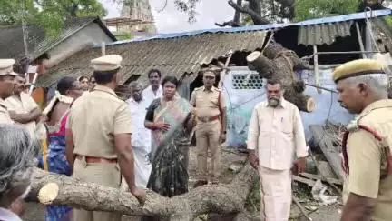 தோவாளை: செண்பகராமன்புதூர் - ஞாலம் உள்ளிட்ட பகுதிகளில் மழை பாதிப்புகளை மாவட்ட ஆட்சியர் நேரில் பார்வையிட்டு ஆய்வு