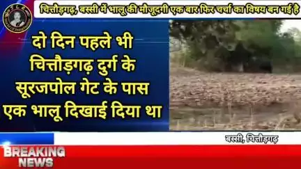 चित्तौड़गढ़ में भालू की मौजूदगी एक बार फिर चर्चा का विषय बन गई है। रविवार सुबह बस्सी तहसील के पाल का घाटा गांव में एक भा