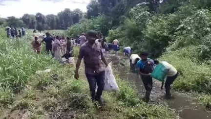 மேட்டூர்: மேட்டூர் காவிரி நீர் பிடிப்பு பகுதிகளில் மீன்கள் செத்து மிதப்பதால் பொதுமக்கள் கூடை கூடையாக மீன்களை அள்ளிச் சென்றனர்