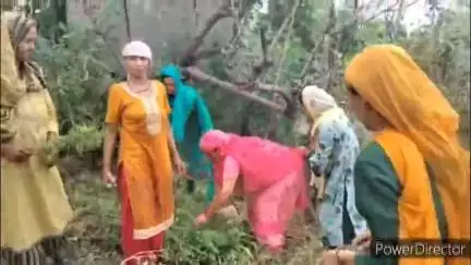 गलोड़: महिला मंडल फाफण ने नशे पर किया प्रहार, गांव के आसपास उगी भांग को उखाड़ा