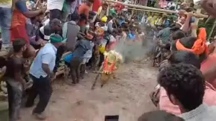 அணைக்கட்டு: அல்லேரி மலையில் ஸ்ரீ செல்லியம்மன் திருவிழாவை முன்னிட்டு 11ஆம் ஆண்டு எருது விடும் திருவிழா வெகு விமர்சையாக நடைபெற்றது