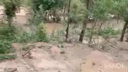 कंडाघाट: नैन गांव में किसानों के खेतों में घुसा मालगा, सड़क निर्माण के दौरान निकला मलबा, फसलों को हुआ नुकसान