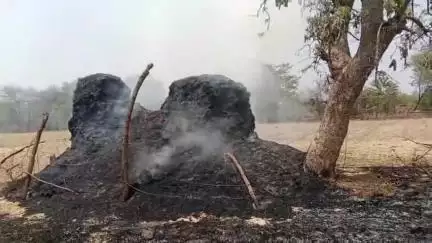 लिधौरा: लिधौरा:बम्होरी में अज्ञात व्यक्ति ने खेत में लगाई आग, 5 ट्रॉली भूसा जलकर खाक