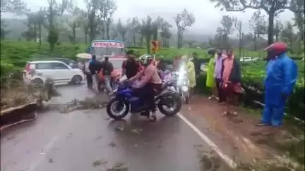 ഉടുമ്പൻചോല: പൂപ്പാറയിൽ ഓടിക്കൊണ്ടിരുന്ന വാഹനത്തിന് മുകളിൽ മരം ഒടിഞ്ഞ് വീണ് അപകടം