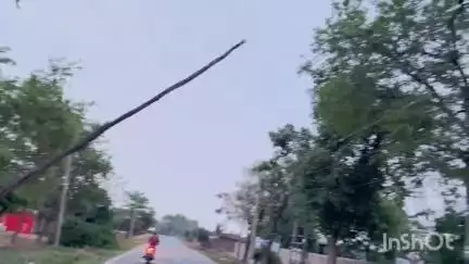 रमकंडा: तेज रफ्तार वाहन ने मारी टक्कर, वन विभाग का चेकनाका ध्वस्त, बाल-बाल बचा मुसहर परिवार