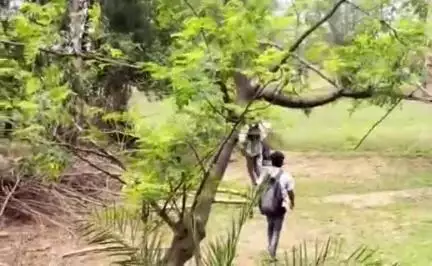 कुमारडुंगी: तुईनबाना गांव में KTM गाड़ी से करतब करने के दौरान 2 व्यक्ति गोबर के गड्ढे में गिरे जिसमें 1 व्यक्ति गंभीर रूप से घायल।