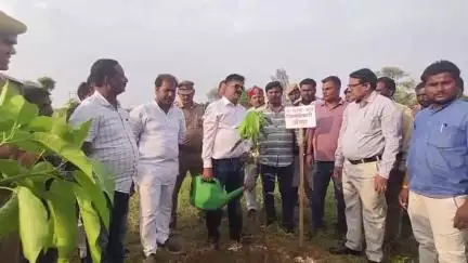 मड़ियाहू: पाली गांव में जिलाधिकारी ने अमृत वाटिका का किया निरीक्षण