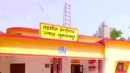 बल्दीराय: बरामऊ गांव में बिजली के खंभे में करंट उतरने से दो भैंसों की हुई मौत, स्थानीय प्रशासन को दी गई सूचना