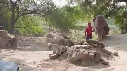 घाटमपुर 
बेंदा गाँव मे सुअर से गंदगी और बीमारियों से पीड़ित खुले मे गंदगी दार खाना डालना सुअर मालिकसे कहने पर भी नहींमाना