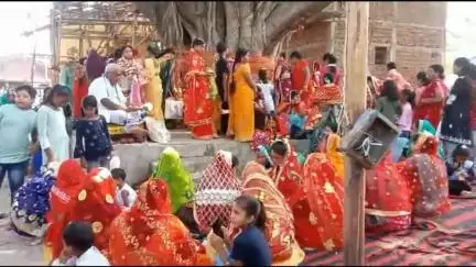बिश्रामपुर: विश्रामपुर में सुहागिनों ने पति की लंबी उम्र के लिए किया वट सावित्री व्रत, वट वृक्ष की विशेष पूजा