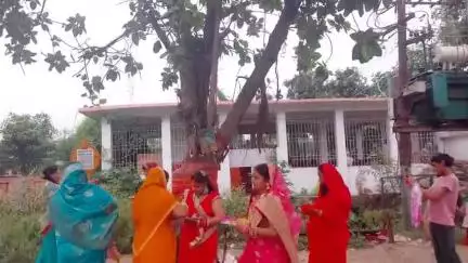 बिहार मे धूमधाम से मनाई जा रही है बट सावित्री पूजा! #vatsavitripuja2025 #patna #tranding #biharupdate #biharnews