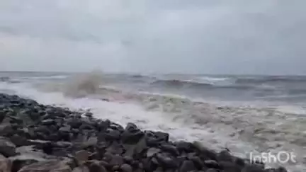 കാർത്തികപ്പള്ളി: കൊച്ചിയിൽ കടലിൽ മുങ്ങിയ കപ്പലിൽ നിന്നുള്ള കണ്ടെയ്നറുകളിൽ ഒന്ന് ആറാട്ടുപുഴ തീരത്തടിഞ്ഞു