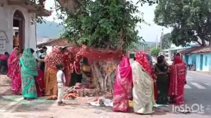 भंडरिया: भंडरिया में सुहागिनों ने रखा व्रत, वटवृक्ष के नीचे सावित्री पूजा कर पति की लंबी उम्र की कामना की
