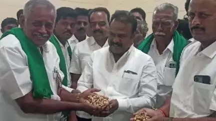 ಪಾವಗಡ: ಪಟ್ಟಣದಲ್ಲಿ ಶೇಂಗಾ ವಿತರಣೆಗೆ ಚಾಲನೆ ನೀಡಿದ ಶಾಸಕ ಎಚ್ ವಿ ವೆಂಕಟೇಶ್, ತಾರತಮ್ಯವಿಲ್ಲದೆ ಕ್ರಮ ವಹಿಸಲು ಸೂಚನೆ
