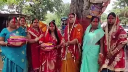 असरगंज: असरगंज प्रखंड में सुहागिनों ने पति की दीर्घायु के लिए की वट सावित्री पूजा, उमड़ी महिला श्रद्धालु