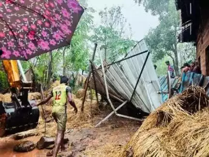 दापोली: वानोशी तर्फे नातू गावात जनावराचा गोठा कोसळला, एक गाय दगावली