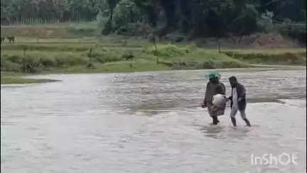 ಹೊಸನಗರ: ಬಾಳೆಕೊಪ್ಪ ವಿದ್ಯುತ್ ದುರಸ್ತಿಗೆಂದು ಹರಿಯುತ್ತಿದ್ದ ಹೊಳೆ ದಾಟಿದ ಮೆಸ್ಕಾಂ ಅಧಿಕಾರಿ