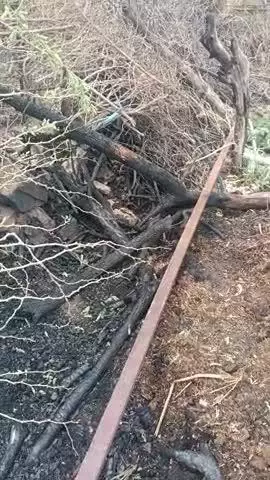 उनियारा देवली सोप शॉर्ट सर्किट के कारण लगी आग जिसमें मोटर स्टार्टर व पाइप जल गए


 पाइप पानी पीने का स्टार वह पाइप जल गए