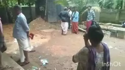 കാർത്തികപ്പള്ളി: വീയപുരം മേൽപാടം പാളയത്തിൽ കോളനിക്ക് സമീപം യുവാവിനെ തൂങ്ങിമരിച്ച നിലയിൽ കണ്ടെത്തി