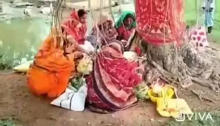 ईचागढ़: लेपाटांड में सुहागिनों ने वट सावित्री व्रत की पूजा अर्चना की