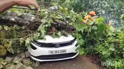 കണയന്നൂർ: കാഞ്ഞിരമറ്റം ചാലക്കപാറയിൽ ഓടിക്കൊണ്ടിരുന്ന കാറിന് മുകളിൽ മരം വീണ് അപകടം
