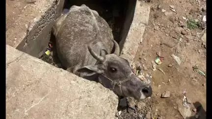 आनंदपुरी: आनंदपुरी में खुले चैंबर बने हादसों का कारण, लापरवाही को लेकर लोगों में आक्रोश