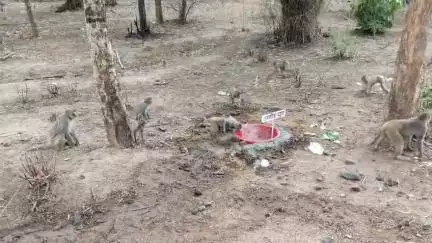 बहुत ही सराहनीय कार्य उम्मीद ग्रुप द्वारा 👍
