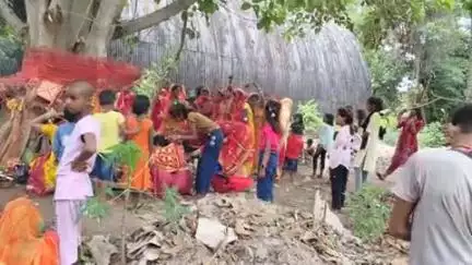 खैरा  प्रखंड के विभिन्न क्षेत्रों में महिलाओं के द्वारा बट सावित्री व्रत की पूजा अर्चना की