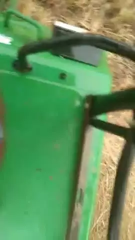 Jangid Champaran rasda Gaon Mein Girte Hue Pani
