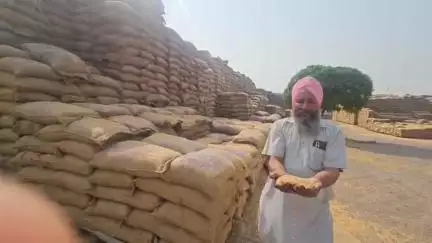ਲਹਿਰਾ: ਮੂਣਕ ਵਿਖੇ ਐਫਸੀਆਈ ਅਤੇ ਮਾਰਕਫੈਡ ਦੇ ਮੁਲਾਜ਼ਮਾਂ ਵੱਲੋਂ ਕਣਕ ਉੱਤੇ ਪਾਣੀ ਭਾਰ ਵਧਾਉਣ ਦੀ ਕੀਤੀ ਕੋਸ਼ਿਸ਼ ਕਿਸਾਨਾਂ ਵੱਲੋਂ ਲਗਾਏ ਦੋਸ਼