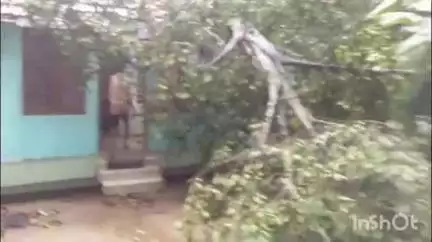 ആലുവ: അങ്കമാലി മള്ളൂശ്ശേരിയിൽ മരം ഒടിഞ്ഞ് വീണ് വീട് പൂർണമായും തകർന്നു