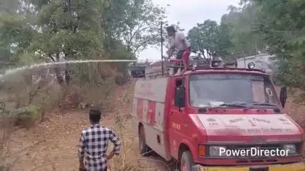 जुन्नारदेव: वार्ड 15 स्थित फॉरेस्ट कार्यालय के पीछे बांस के झुंड में लगी आग, फायर ब्रिगेड ने पाया काबू