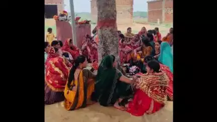 कान्हाचट्टी: कान्हाचट्टी में सुहागिन महिलाओं ने वट सावित्री की पूजा-अर्चना की