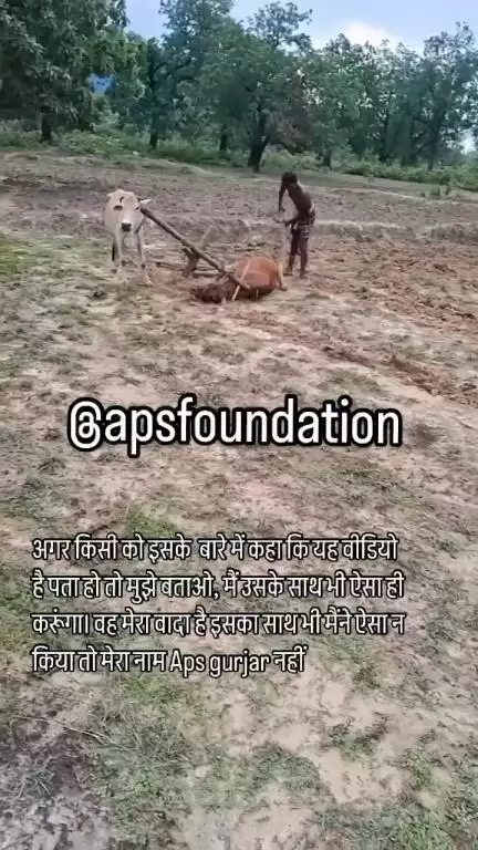 अगर किसी को इसके बारे में कहा कि यह वीडियो है पता हो तो मुझे बताओ, 😡😡

Respect Girls help poor help animals 

#apsgurjar #apsfoundation