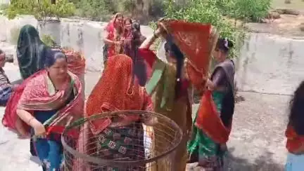 बाराकोट: लोहाघाट और बाराकोट में नगर सहित ग्रामीण क्षेत्रों में वट सावित्री का पर्व श्रद्धा और भक्ति के साथ मनाया गया