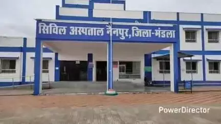 नैनपुर: क्षेत्र में सर्पदंश से एक दिन में एक महिला और एक बच्ची की मौत