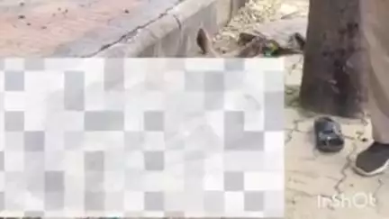 मूल: मूल शहरात अनोळखी इसमाचा आढळला मृतदेह. ओळखीचा असल्यास मुल पोलिसांची संपर्क साधण्याचा पोलिसांनी